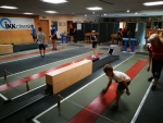 Sommerferienprogramm-2019_6028